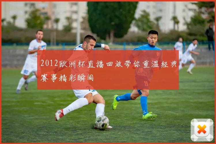 2012欧洲杯直播回放带你重温经典赛事精彩瞬间